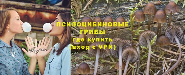 дурь Алзамай