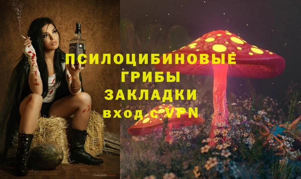 дурь Алзамай