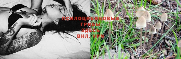наркотики Алексин