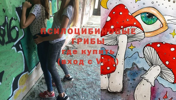 дурь Алзамай