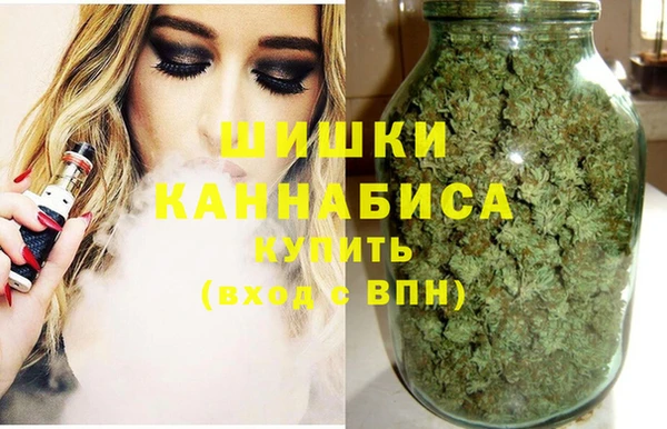 дурь Алзамай